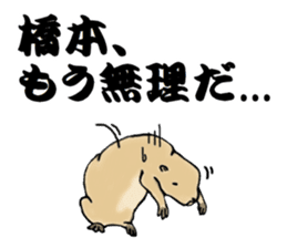 The sticker sent to the Hashimoto sticker #10744194