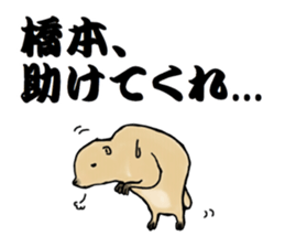 The sticker sent to the Hashimoto sticker #10744195