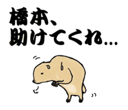 The sticker sent to the Hashimoto sticker #10744195