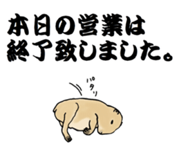 The sticker sent to the Hashimoto sticker #10744196