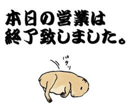 The sticker sent to the Hashimoto sticker #10744196