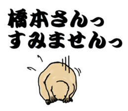 The sticker sent to the Hashimoto sticker #10744198