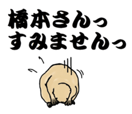 The sticker sent to the Hashimoto sticker #10744198