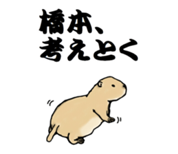 The sticker sent to the Hashimoto sticker #10744199