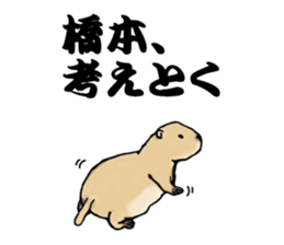 The sticker sent to the Hashimoto sticker #10744199