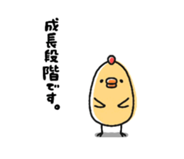 Sticker of a small chick5 sticker #10747811