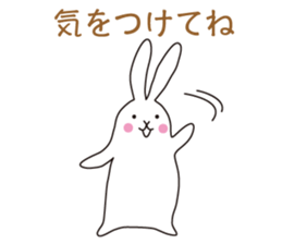 my pace tennis rabbit sticker #10748925