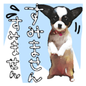 Chihuahua is name milk sticker #10749658