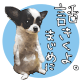 Chihuahua is name milk sticker #10749665