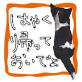 Chihuahua is name milk sticker #10749675