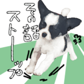 Chihuahua is name milk sticker #10749678