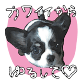 Chihuahua is name milk sticker #10749689