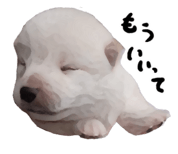 Sticker Shibainu(vol4) sticker #10750871