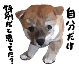 Sticker Shibainu(vol4) sticker #10750892