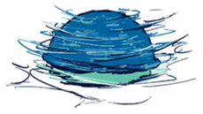 Turtle & Heteroconger hassi sticker #10751511
