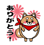Marumaru-shibainu! sticker #10752376