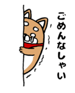 Marumaru-shibainu! sticker #10752385