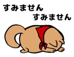 Marumaru-shibainu! sticker #10752386
