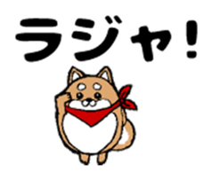 Marumaru-shibainu! sticker #10752393