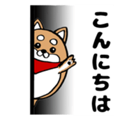 Marumaru-shibainu! sticker #10752398