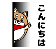 Marumaru-shibainu! sticker #10752398