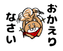 Marumaru-shibainu! sticker #10752403