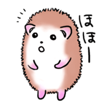 Otter & Hedgehog part2 sticker #10752783