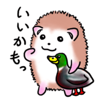 Otter & Hedgehog part2 sticker #10752785