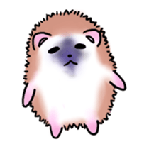 Otter & Hedgehog part2 sticker #10752807