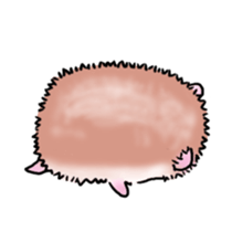 Otter & Hedgehog part2 sticker #10752813