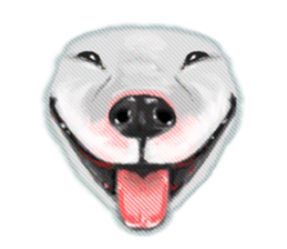 My friend pug and bull terrier. sticker #10753942