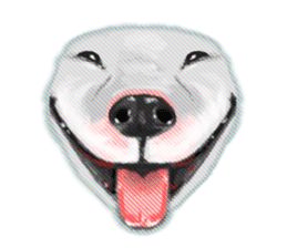 My friend pug and bull terrier. sticker #10753942