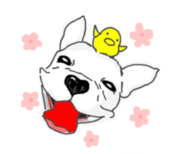 My friend pug and bull terrier. sticker #10753943