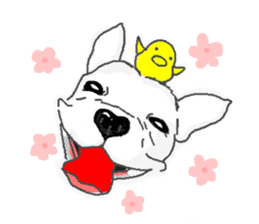 My friend pug and bull terrier. sticker #10753943
