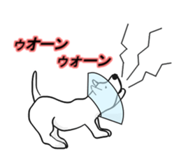 My friend pug and bull terrier. sticker #10753950