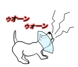 My friend pug and bull terrier. sticker #10753950