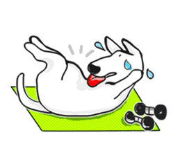 My friend pug and bull terrier. sticker #10753953