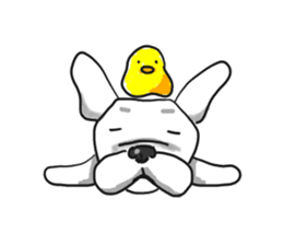 My friend pug and bull terrier. sticker #10753959