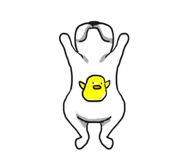 My friend pug and bull terrier. sticker #10753974