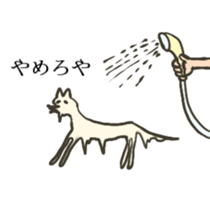 Pomeranian's sticker sticker #10756069