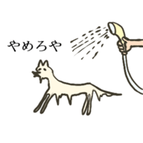 Pomeranian's sticker sticker #10756069