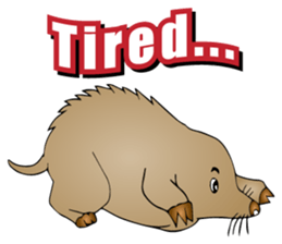 The Spring Animal Stickers sticker #10758442