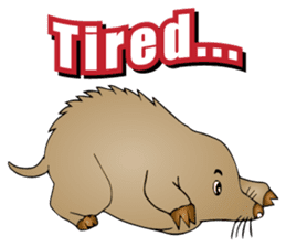 The Spring Animal Stickers sticker #10758442