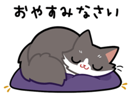 KOTARO & MERIA sticker #10759777