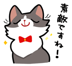 KOTARO & MERIA sticker #10759797