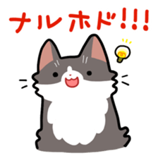 KOTARO & MERIA sticker #10759801