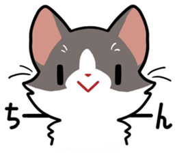 KOTARO & MERIA sticker #10759803