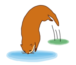 The otter [Kawauso] sticker #10760568