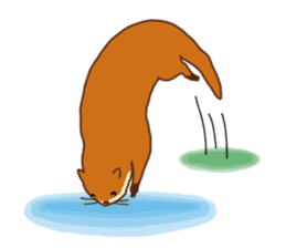 The otter [Kawauso] sticker #10760568