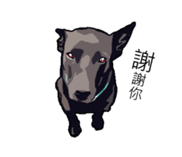 Taiwan Dog sticker #10761057
